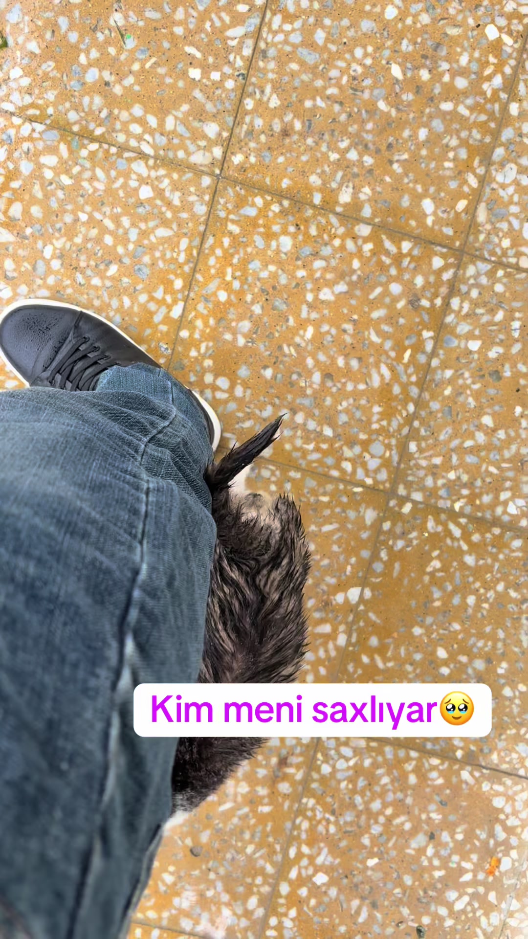 @miraj parfüm