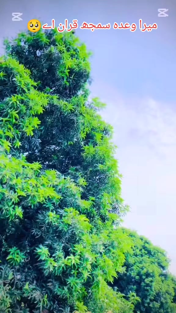 @ᵜm̫ℛッ&uacute;🅼&auml;̤Ｒ๖ۣۜ☆