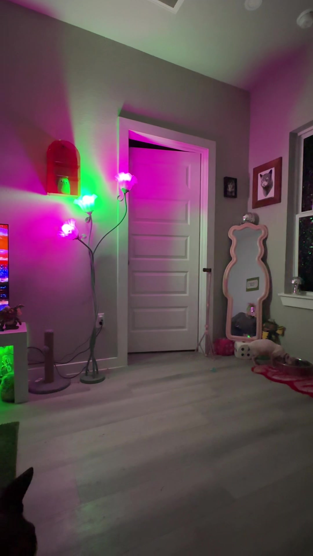 @Orylanlol