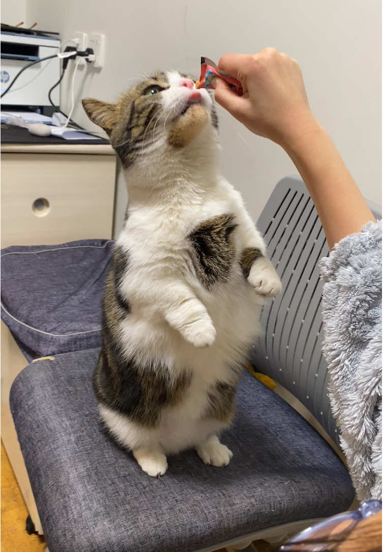 @PawsAndClaws