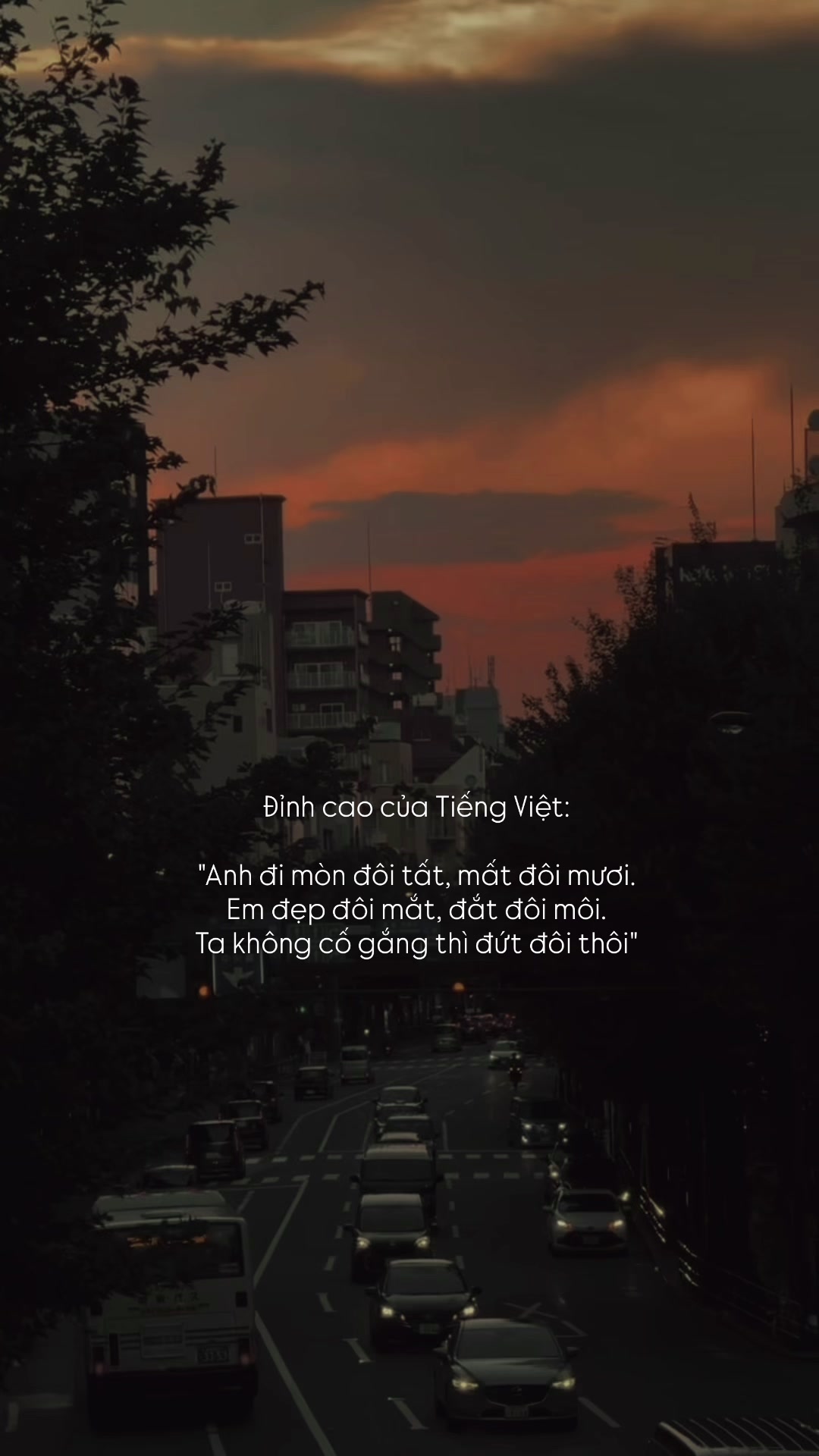 @Người Hiểu Chuyện