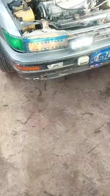 @Wargi Dan baba