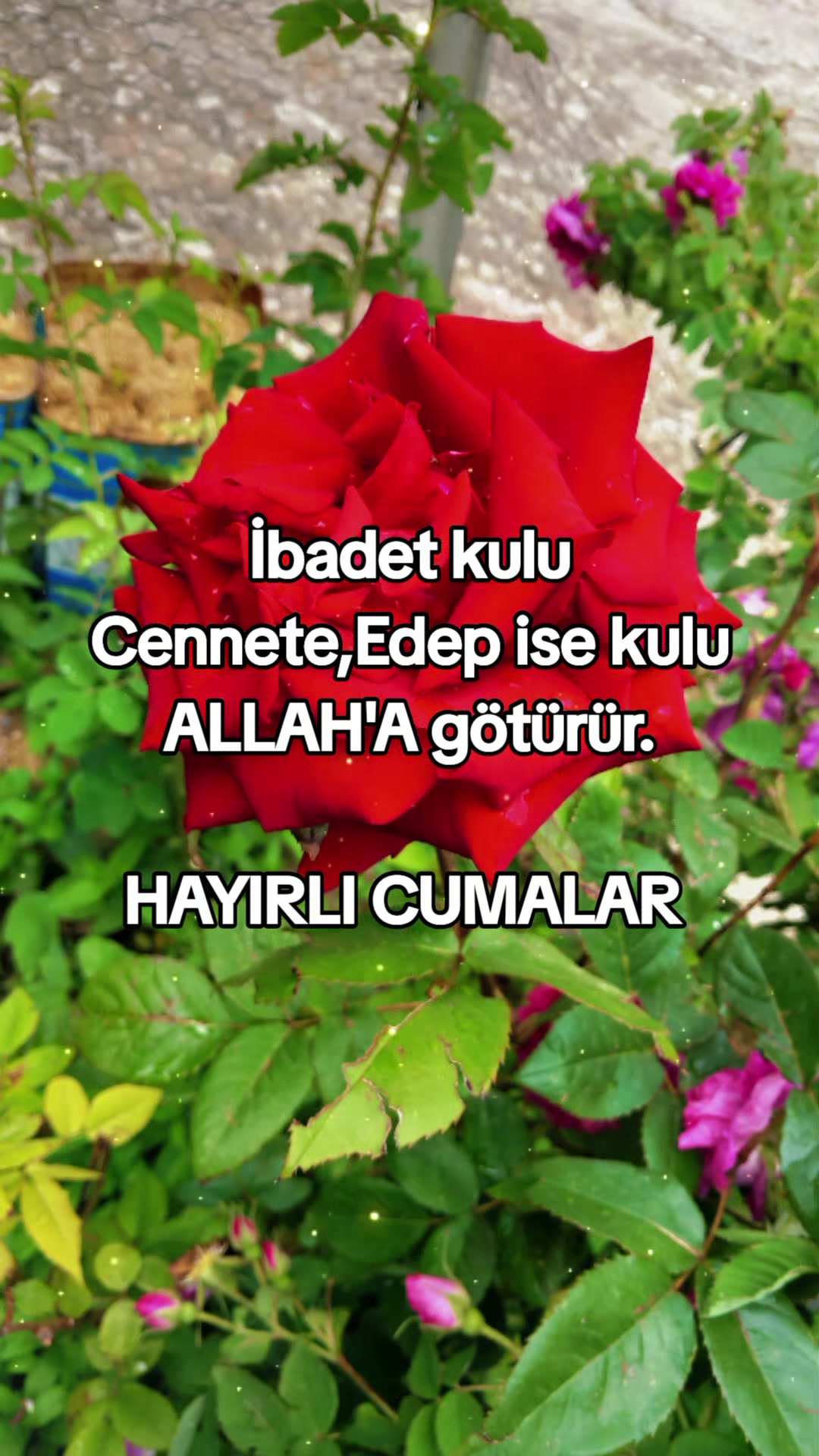 @ümüt dünyası