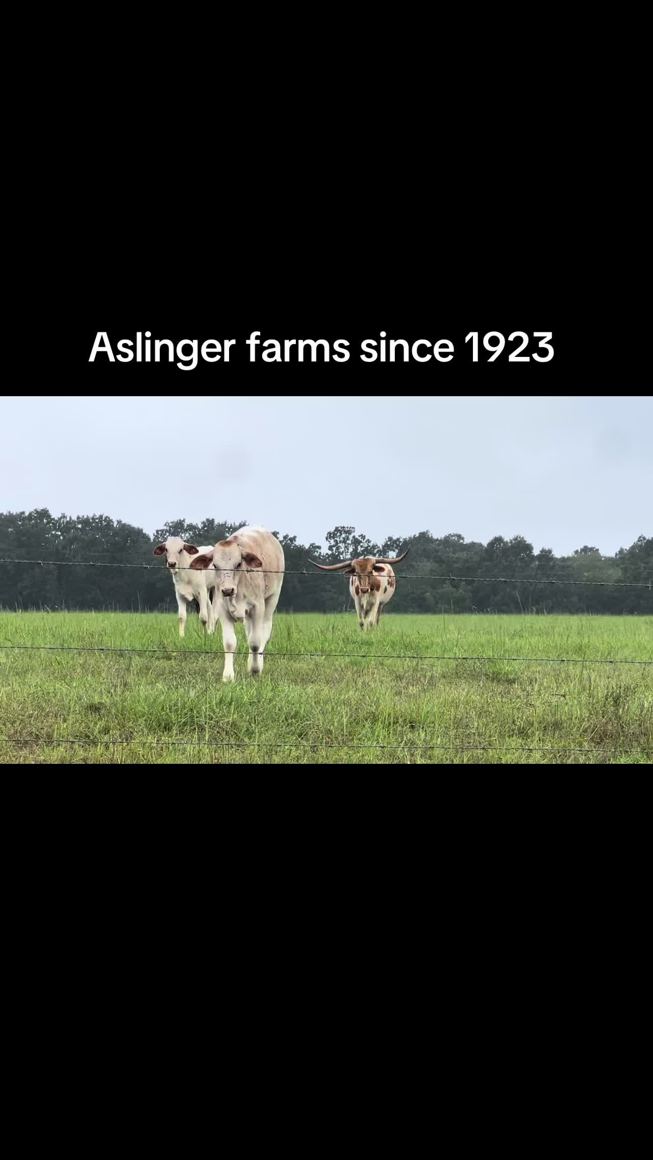 @Terry Aslinger