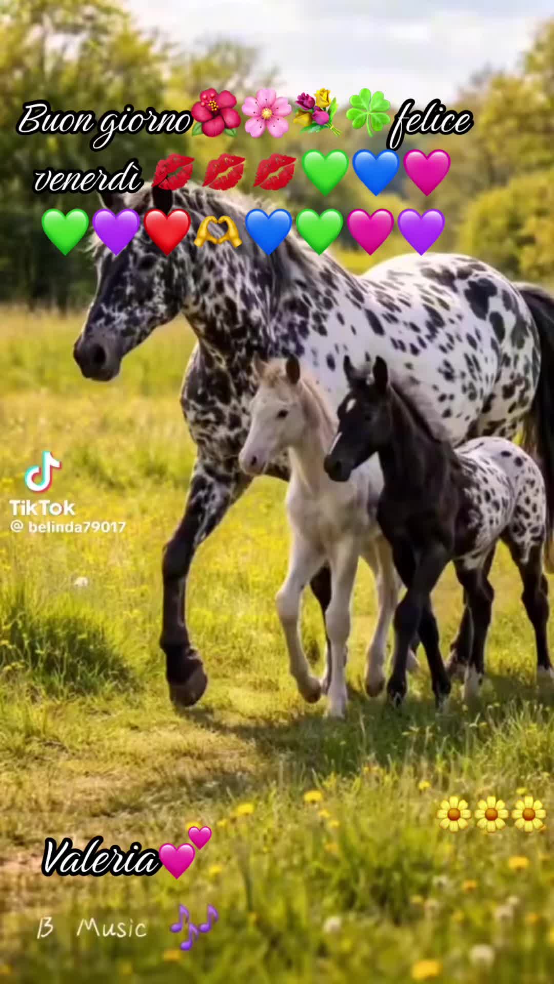 @valeriaevangelis840