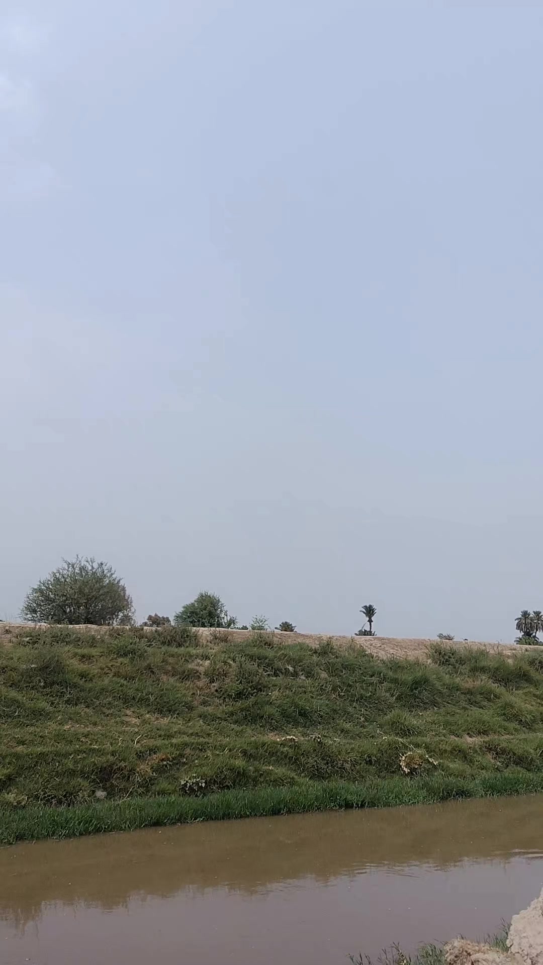 @Tasleem Bano Multan
