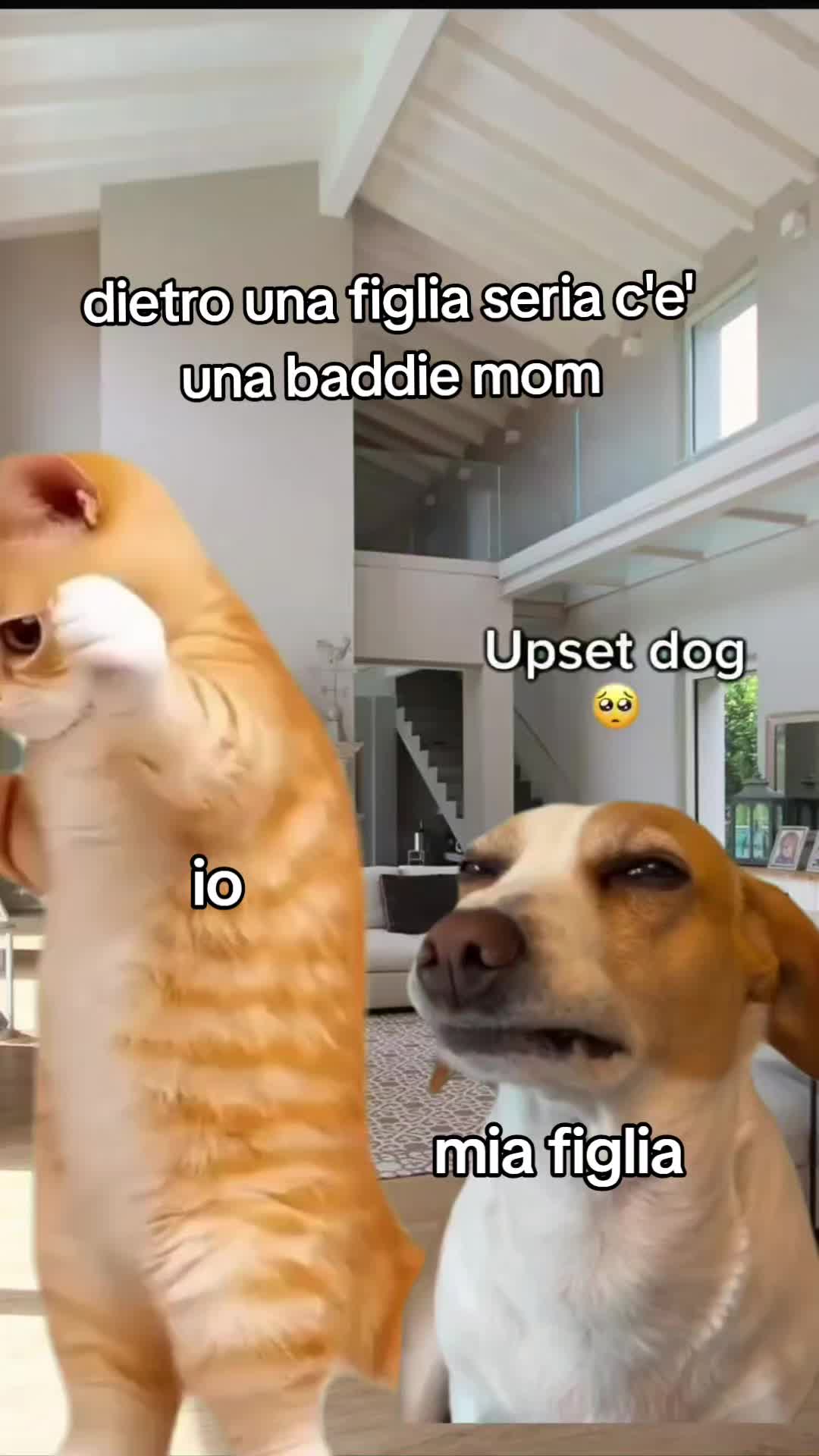 @Chiara Barsi