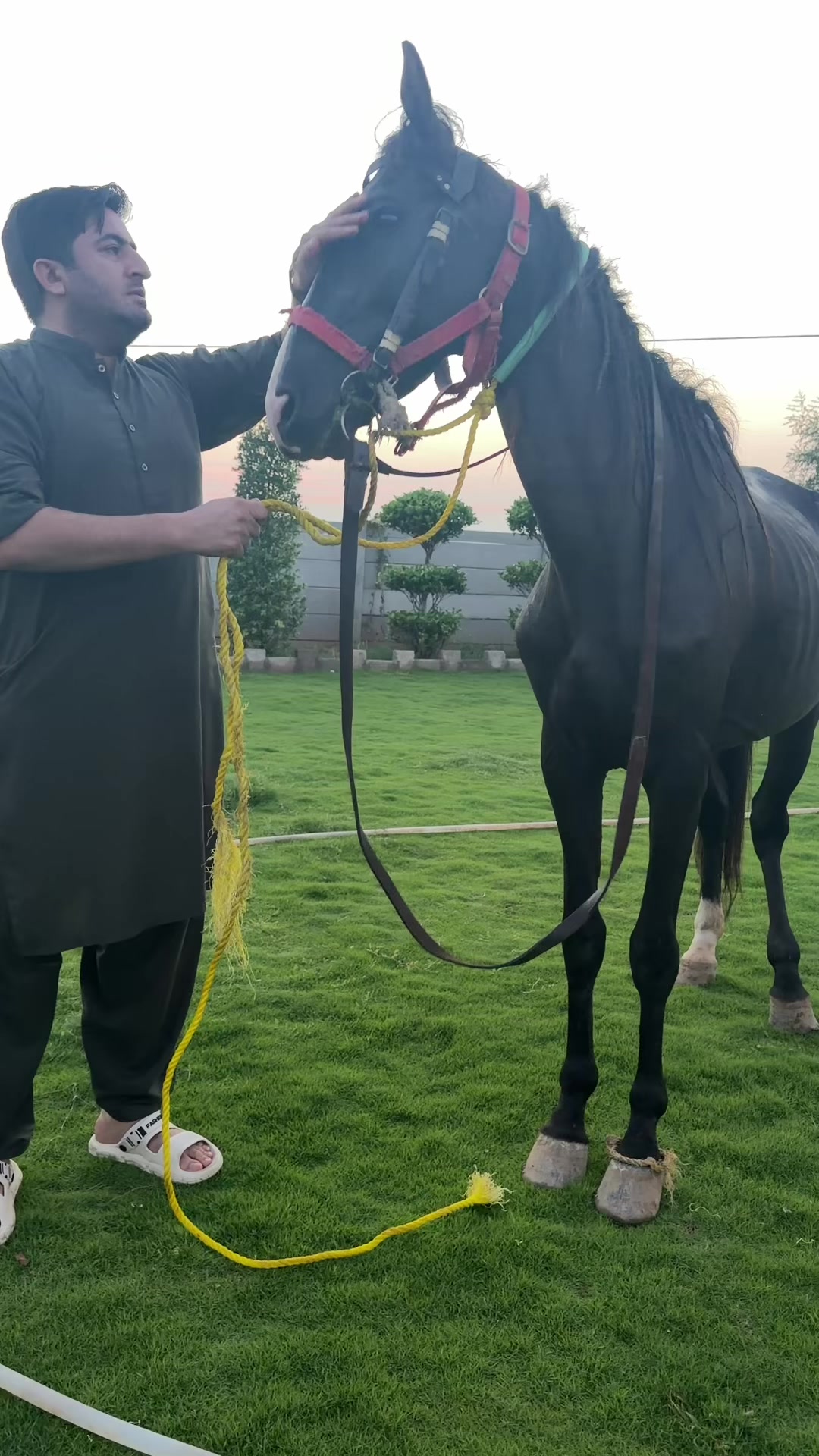 @Mukhtar Khan kakar 007