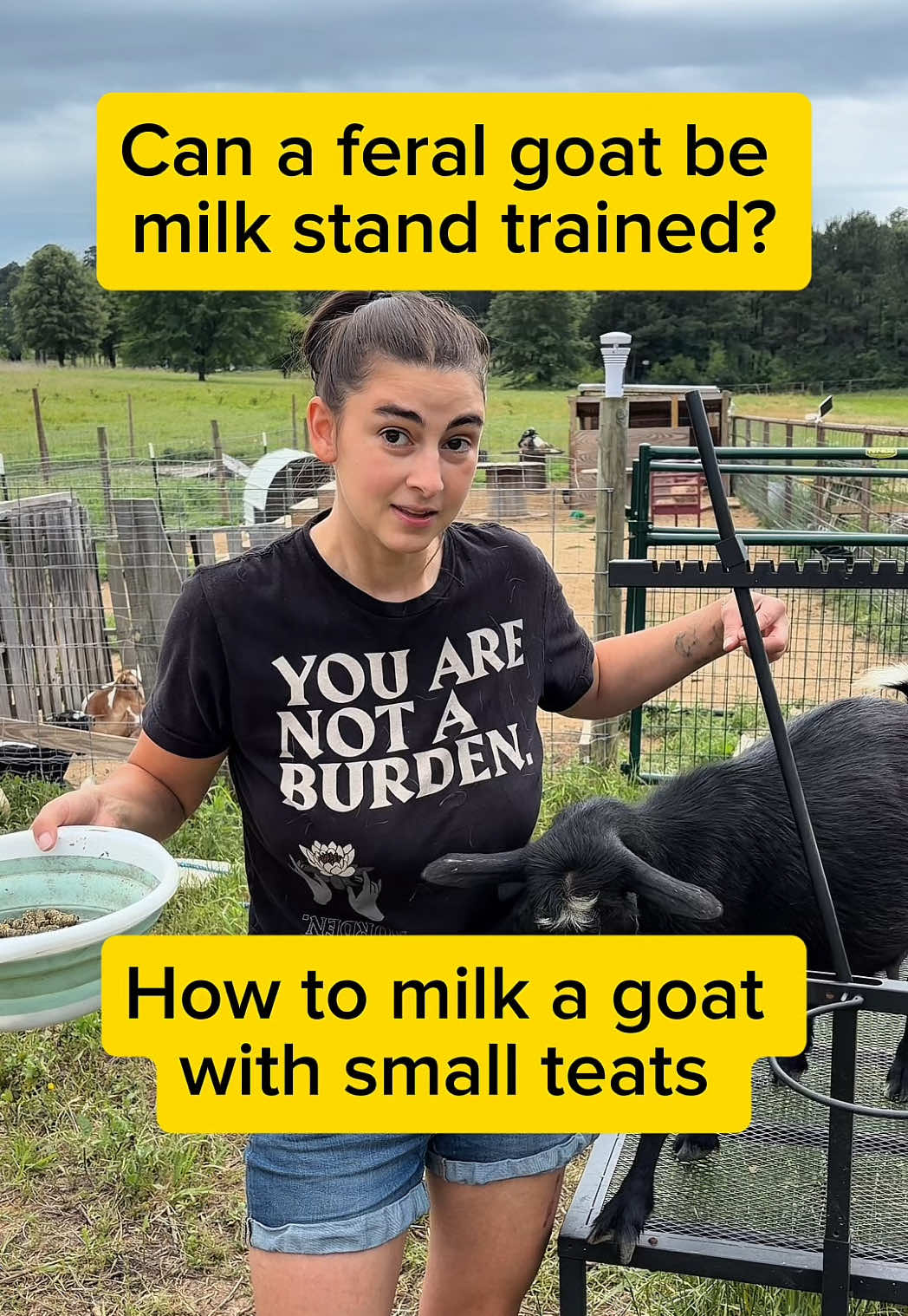 @Heart & Hoof Homestead