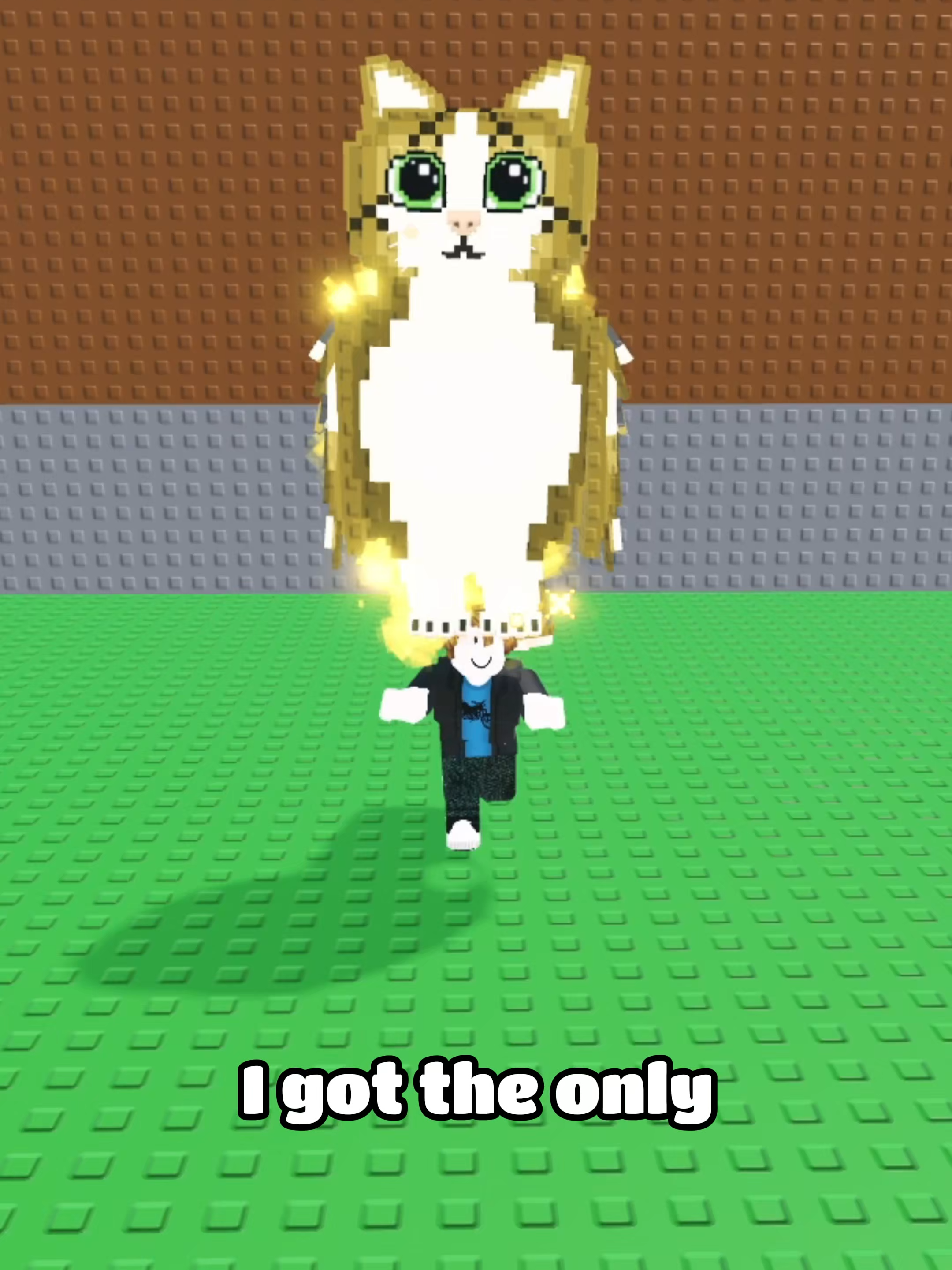 @user83463681870
