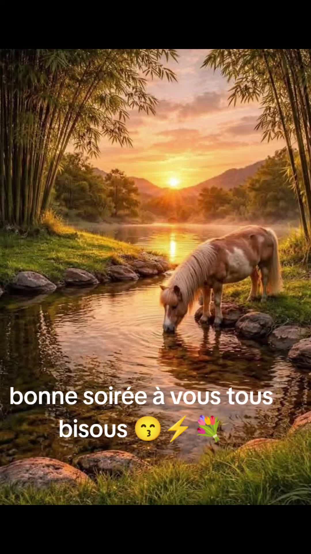 @⚡💐coco62💐⚡ vive les ch'tis