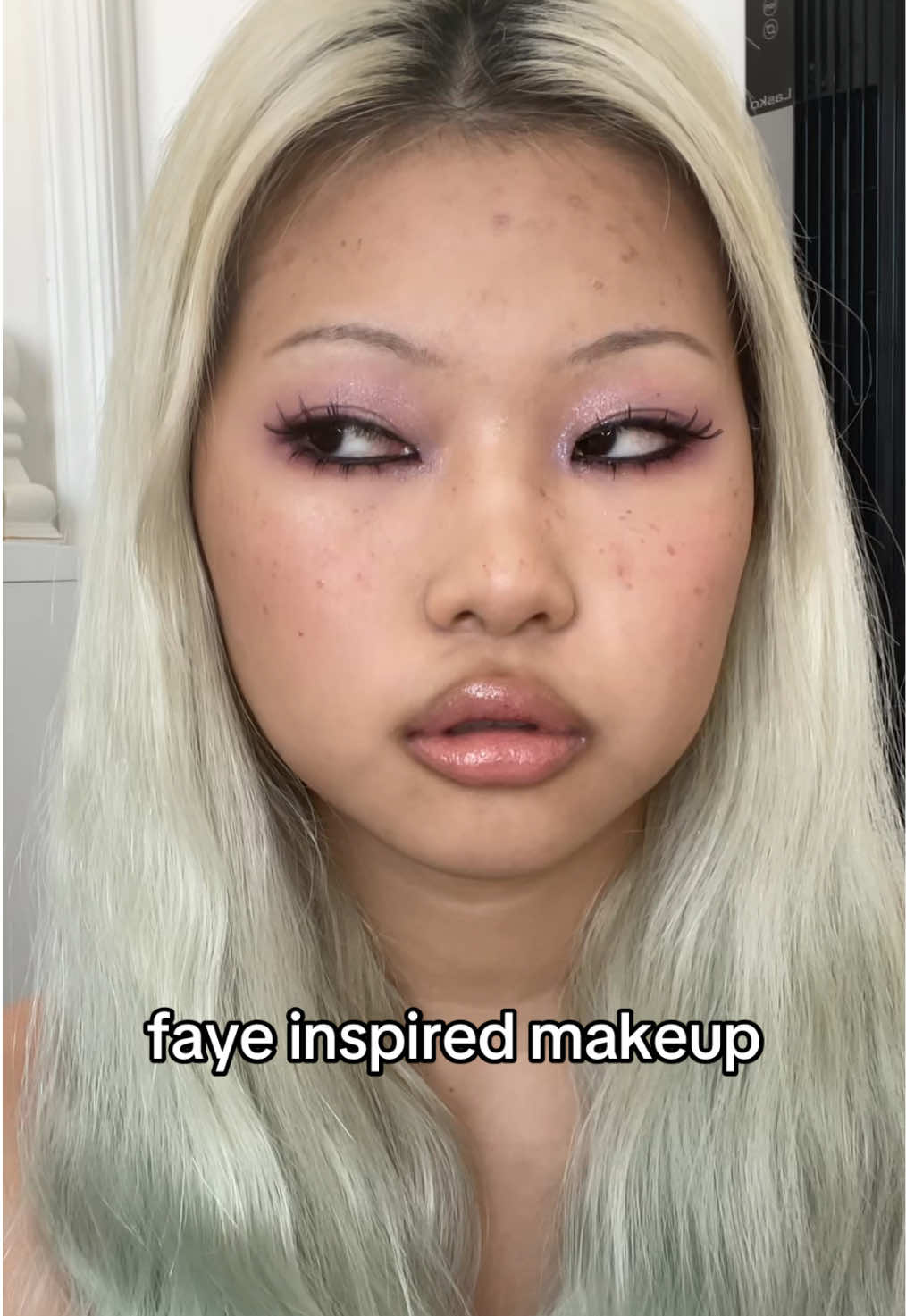 @chia.chihuahua1