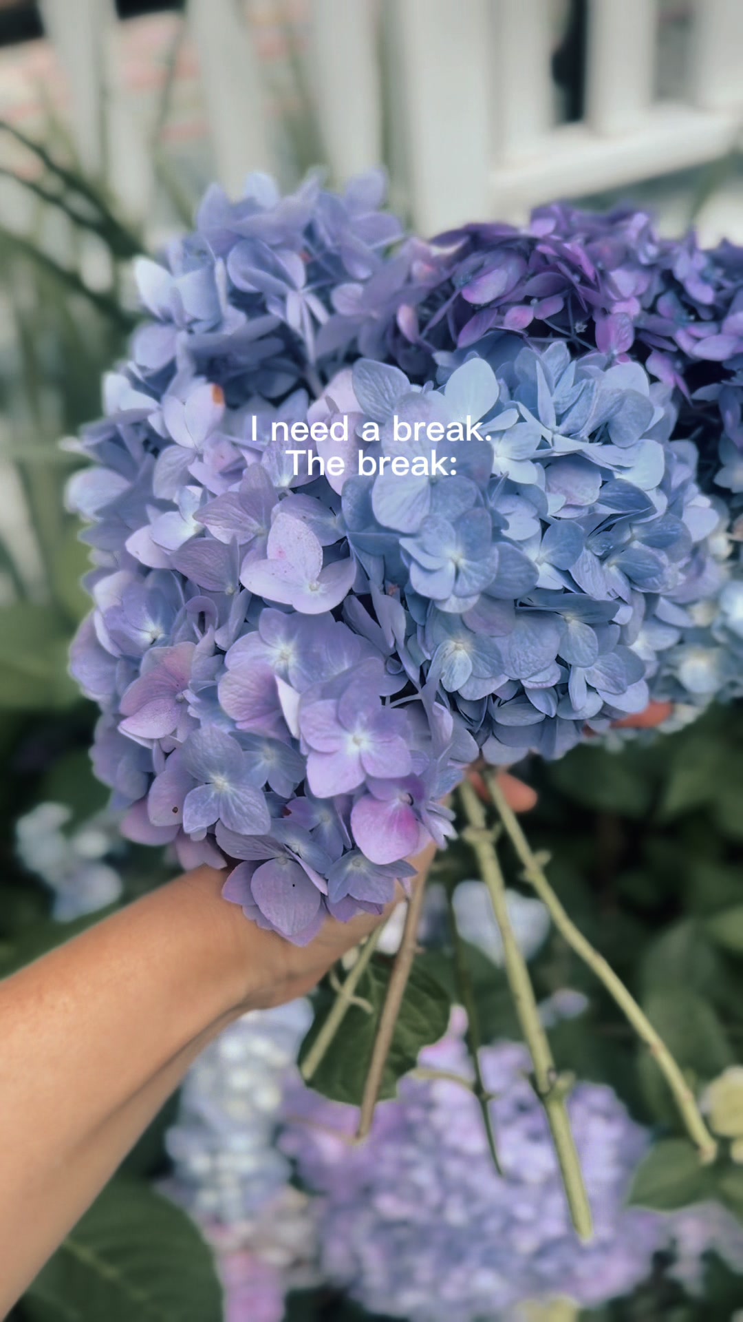 @Cottageonwynn