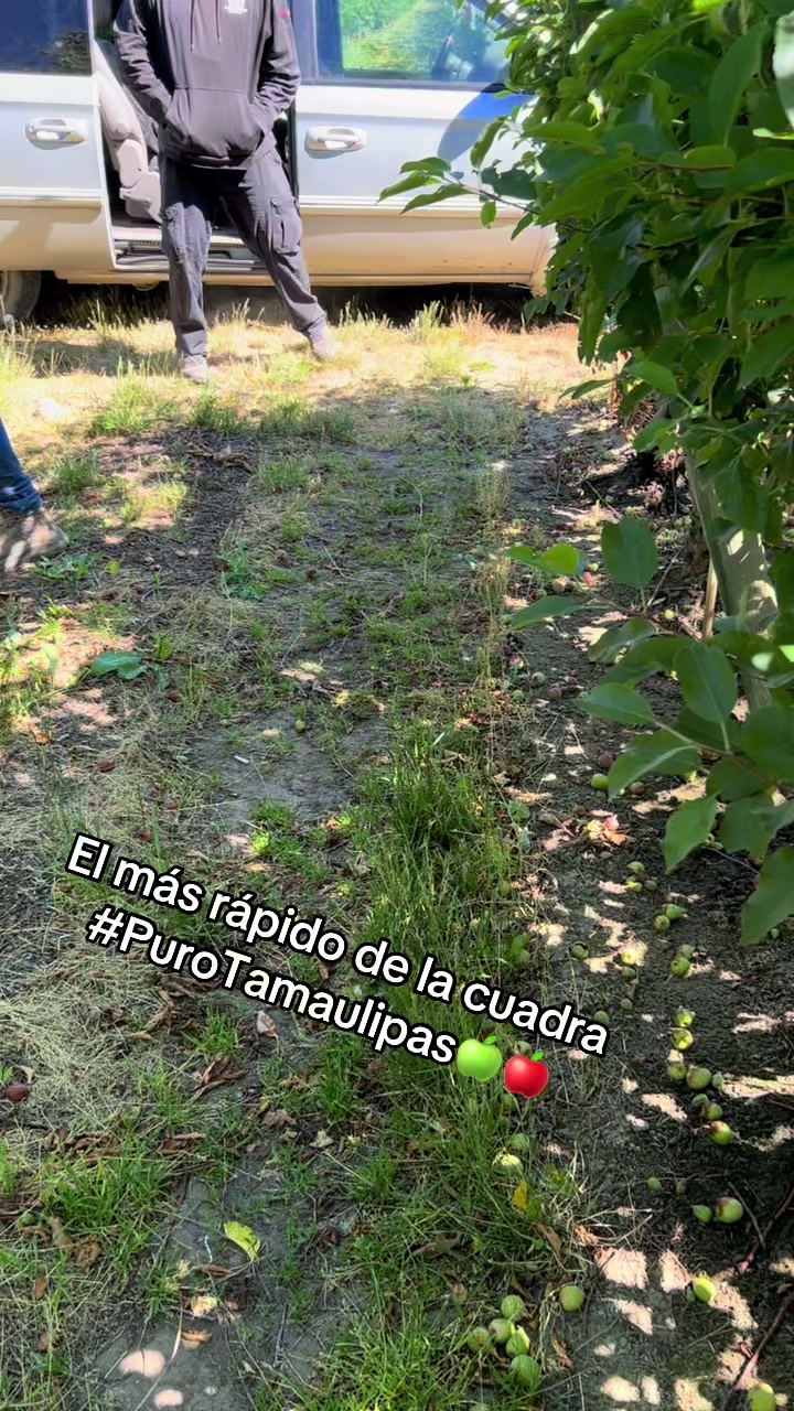 @Ricardo_98M1
