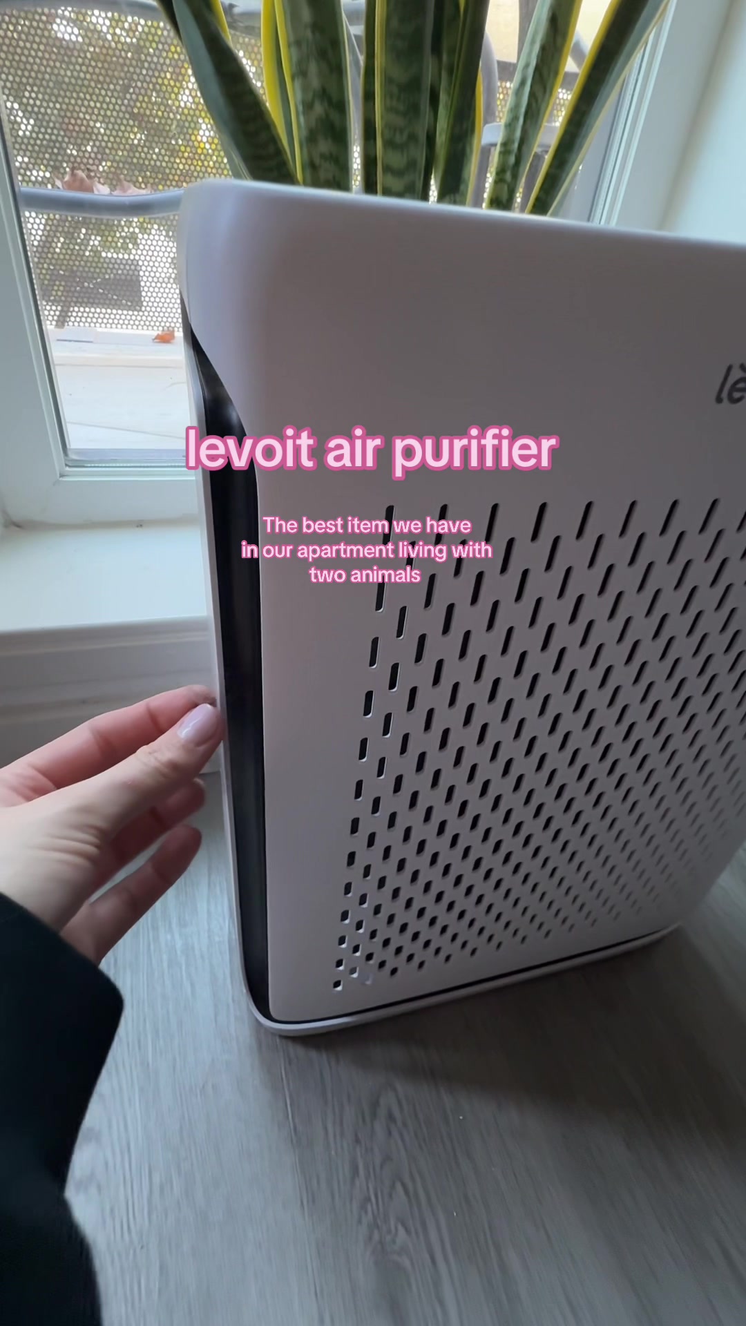 @Peyton l T1D