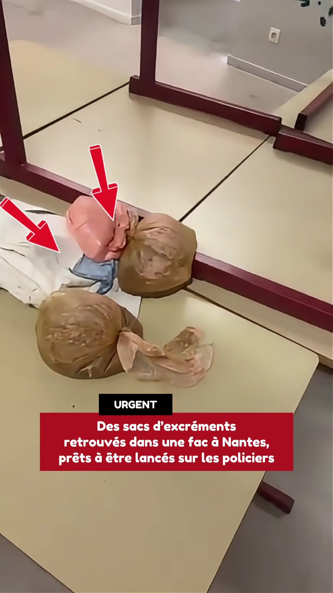 @France Écho