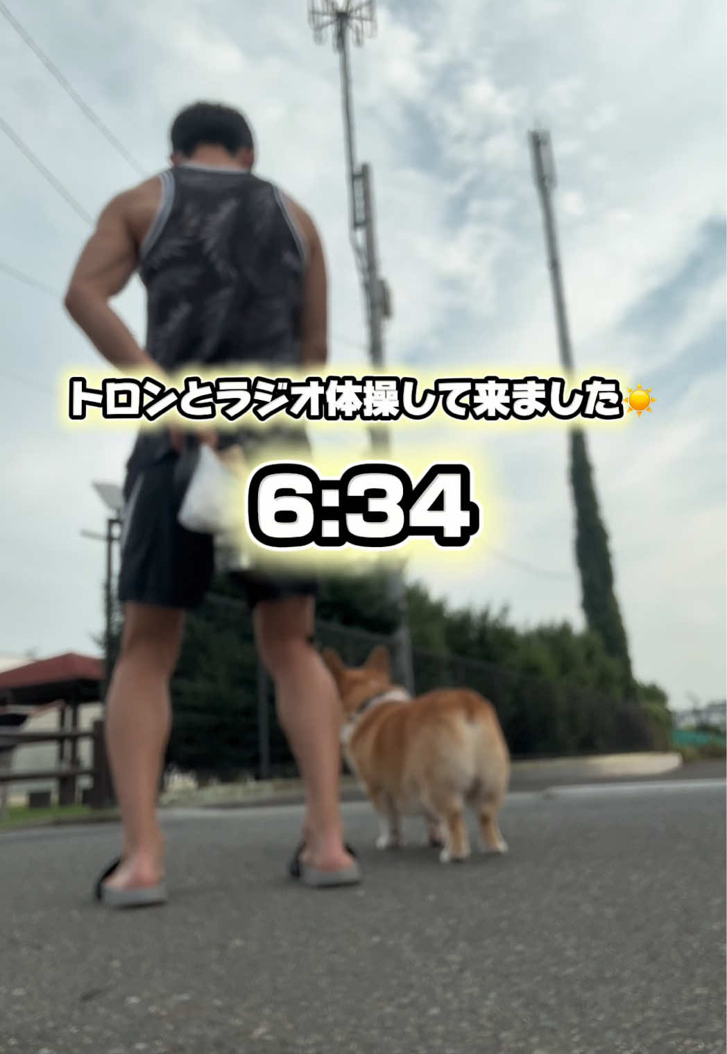 @トロン
