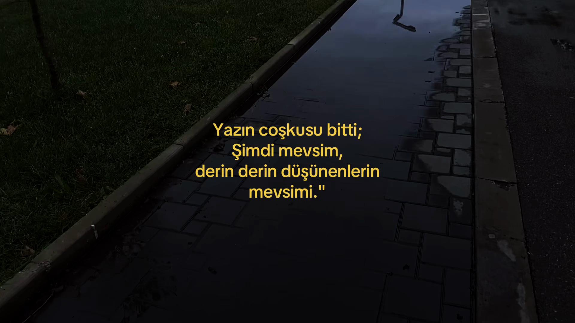 @𝓜.