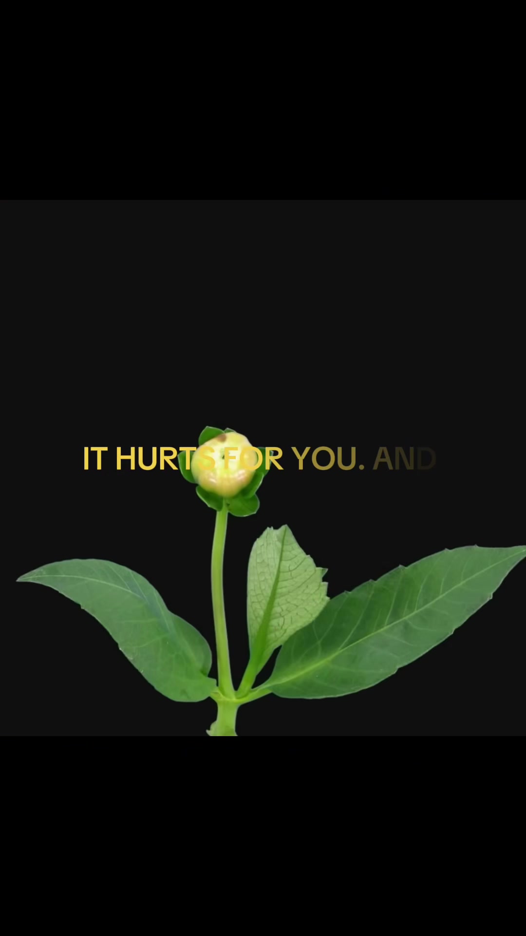 @secret
