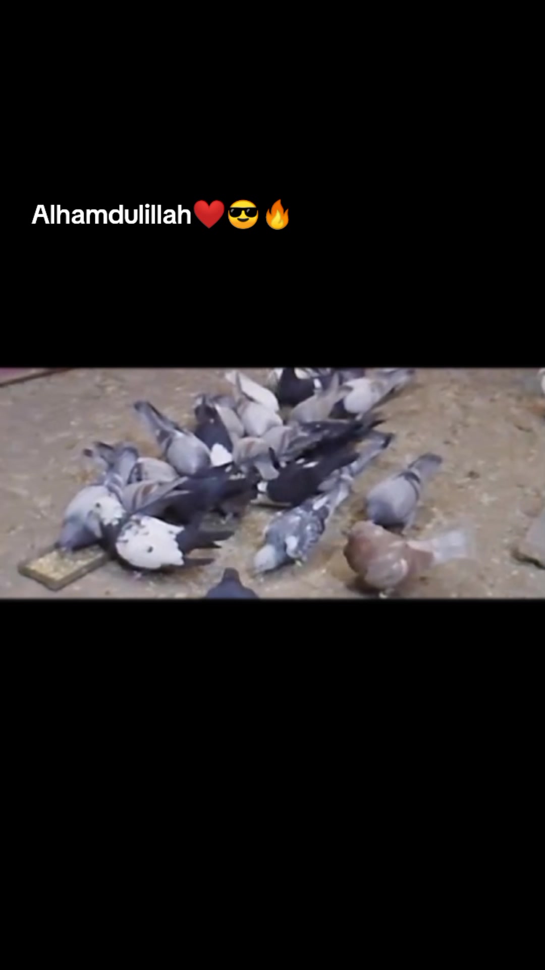 @🕊Badsha🕊