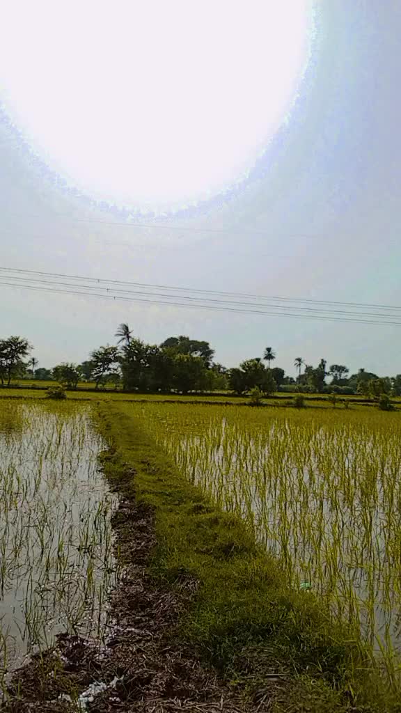 @panwar