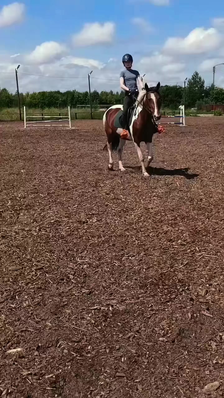 @Ли🐴
