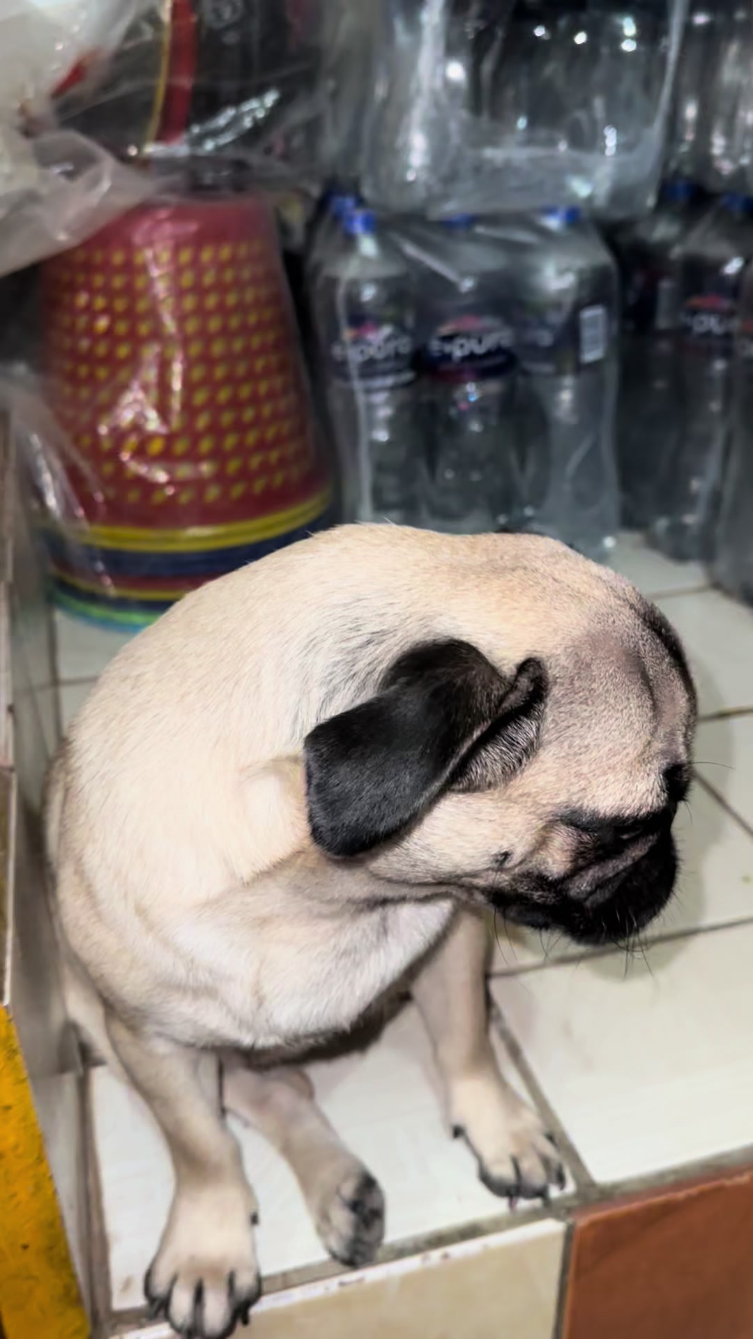 @Princesa pung