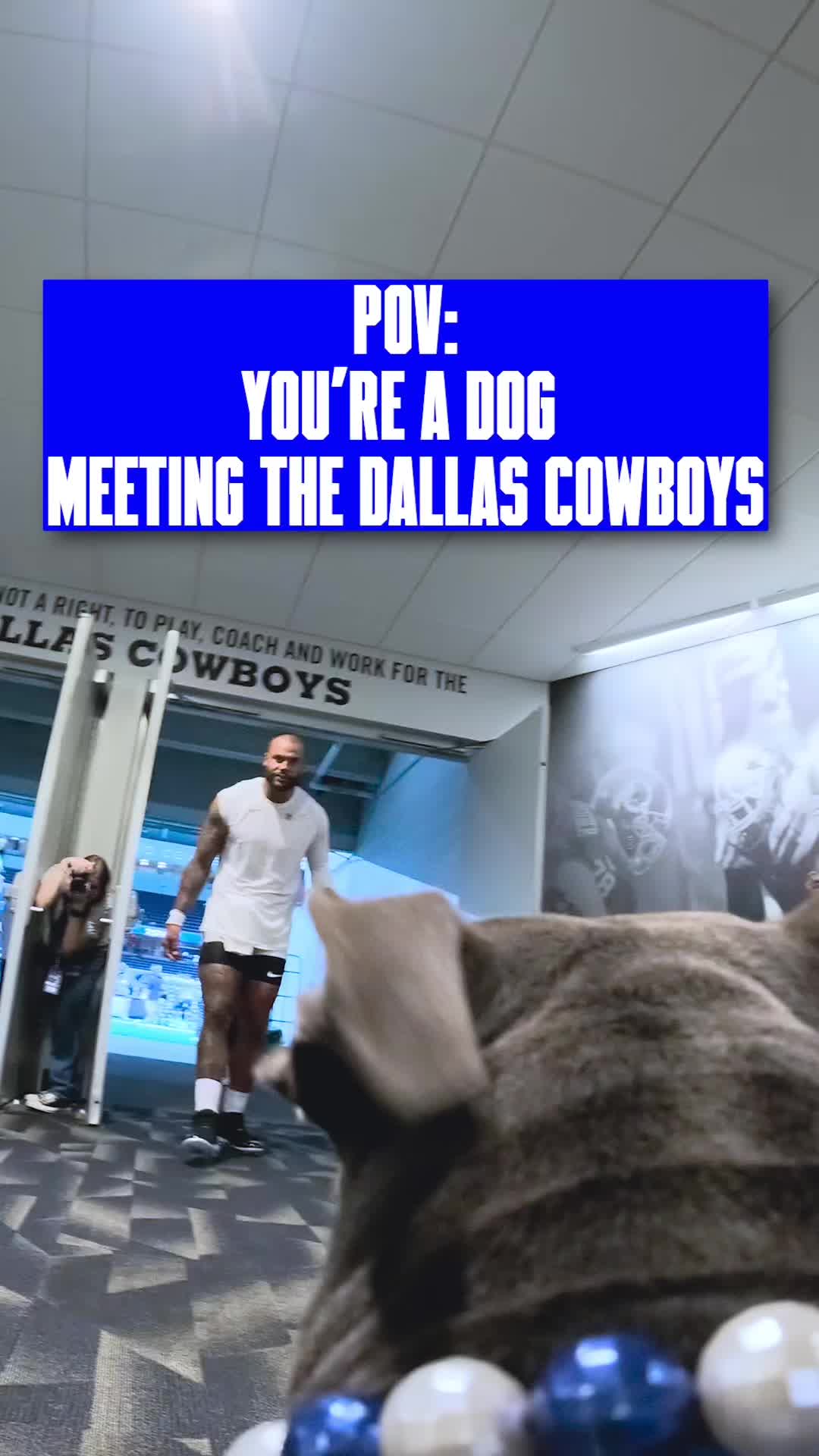 @Dallas Cowboys