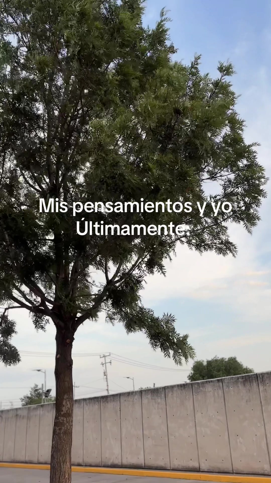@Johana OM