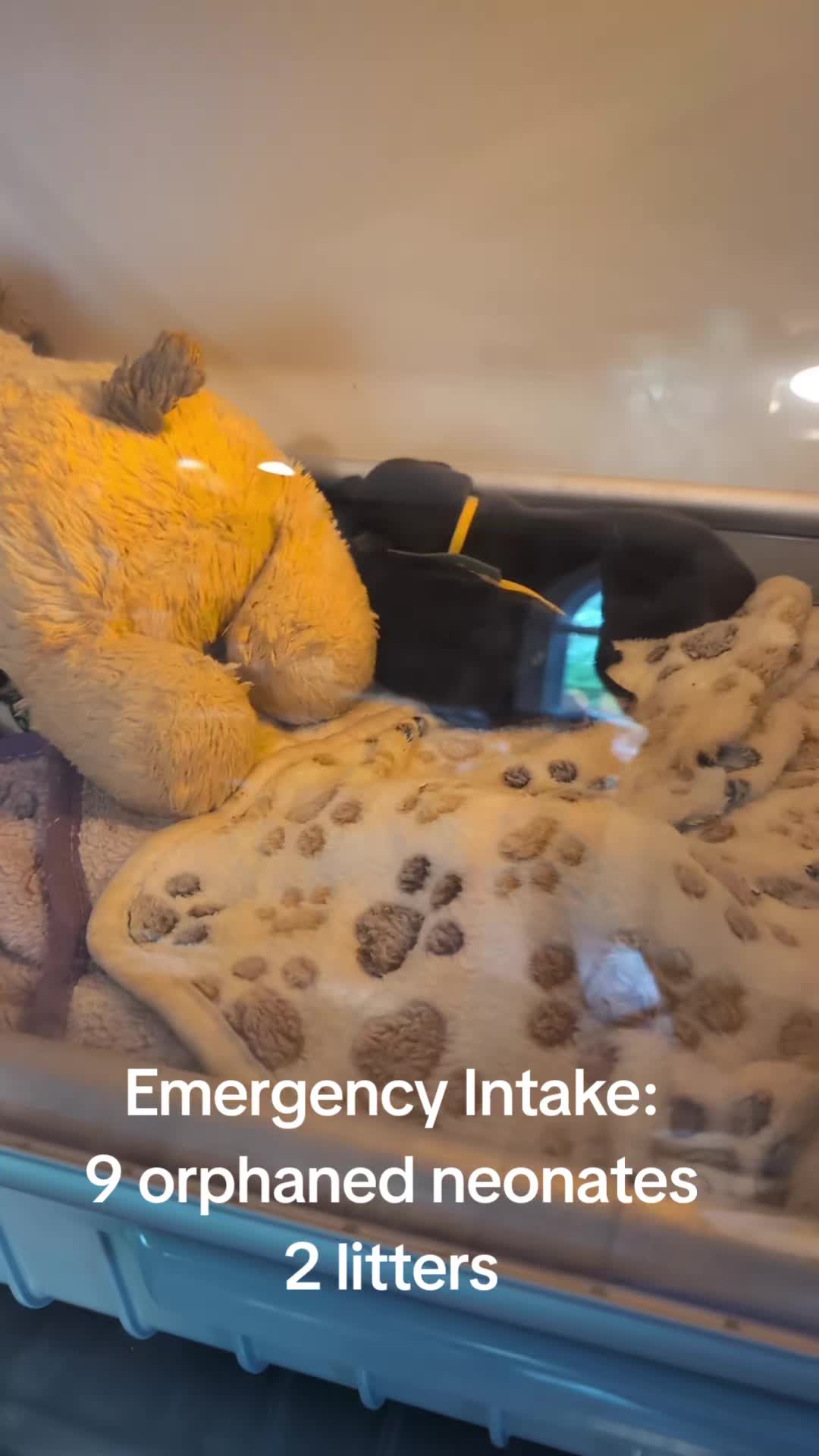 @Kira Kroboth
