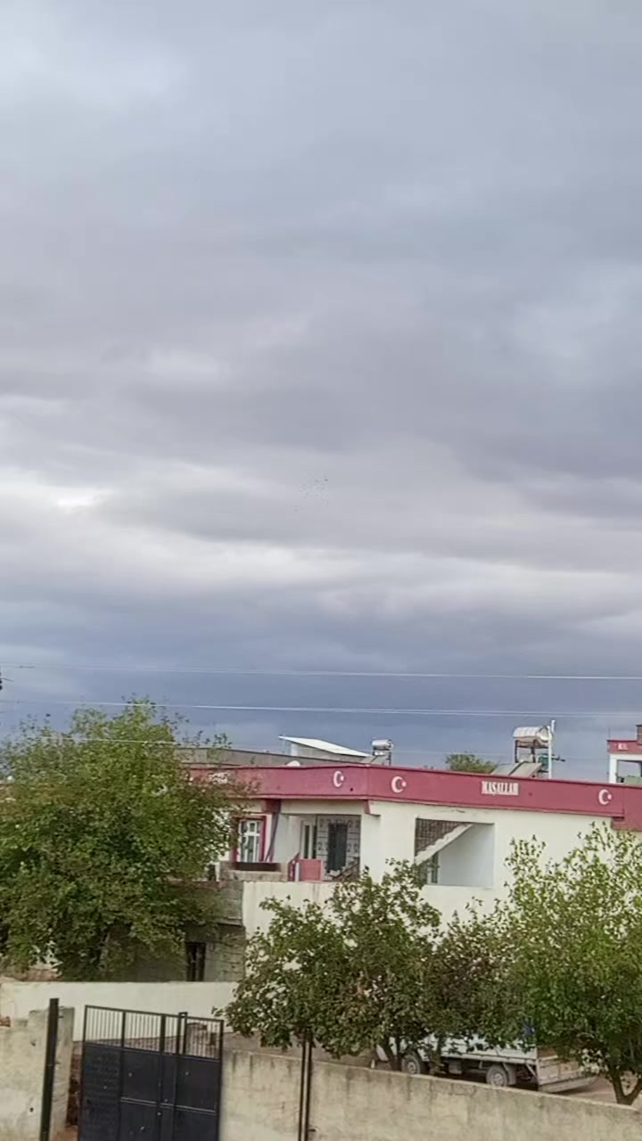 @Memocan
