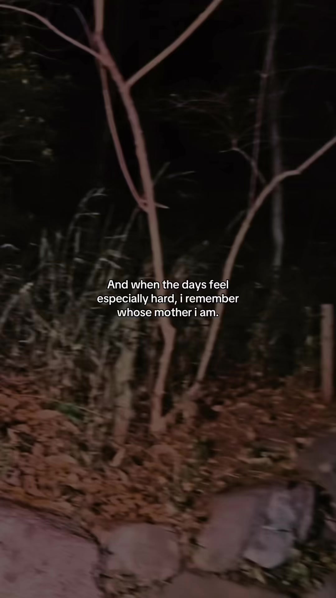 @B E S S Y