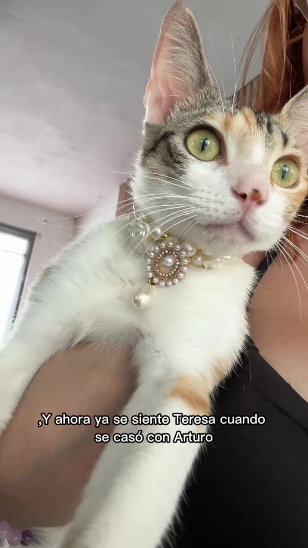 @Delyunderap