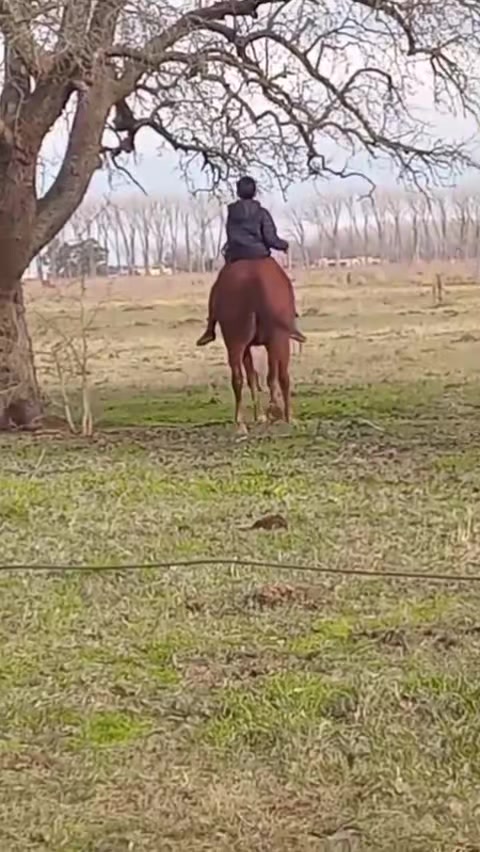 @Carla Najurieta
