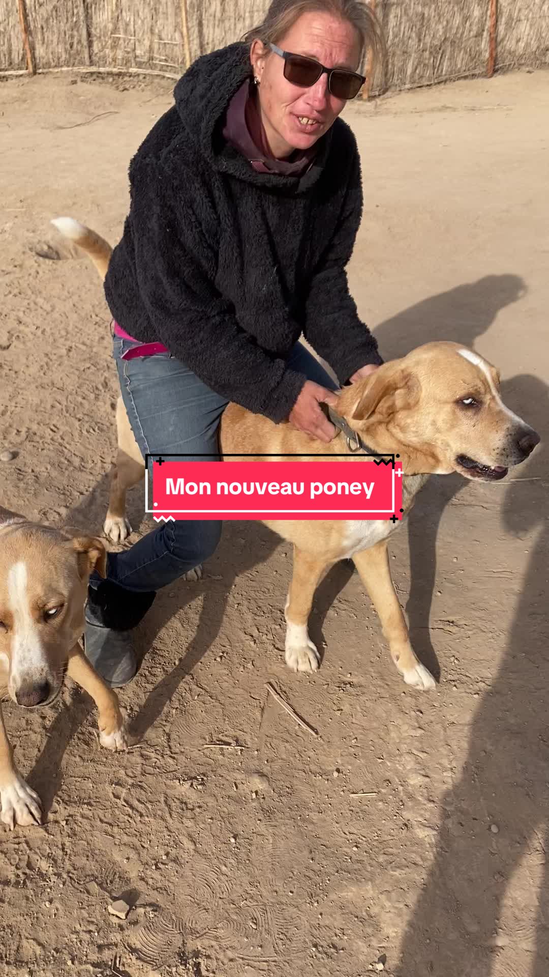 @Les&ensp;&eacute;curies&ensp;de&ensp;la&ensp;roseraie