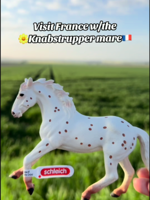 @Schleich Horse Club