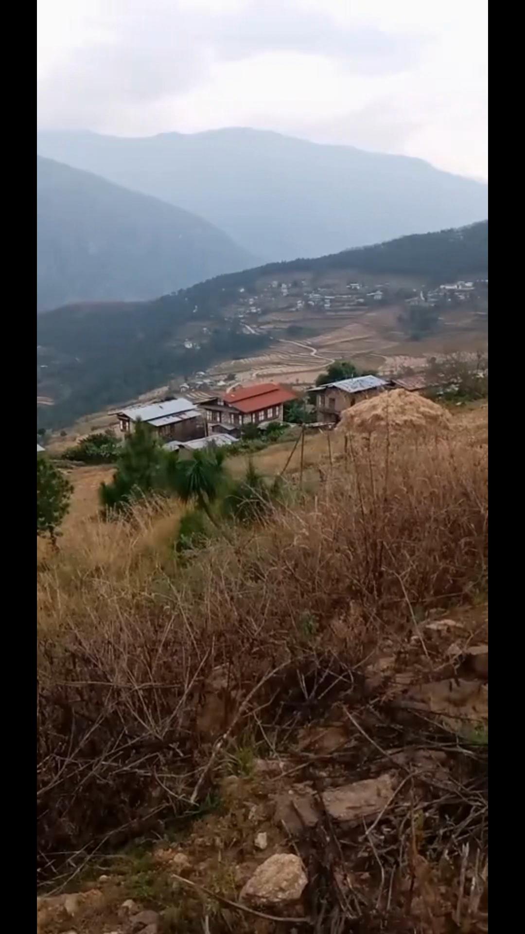 @Thinley D