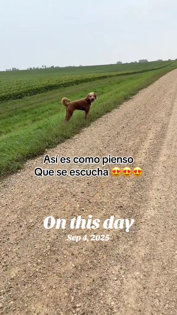 @Reyna y Churro 🐶😍