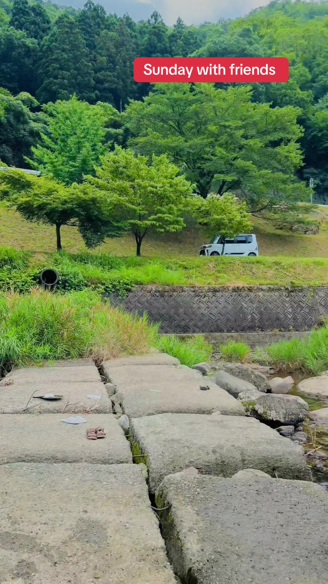 @Salman Khan F🇯🇵