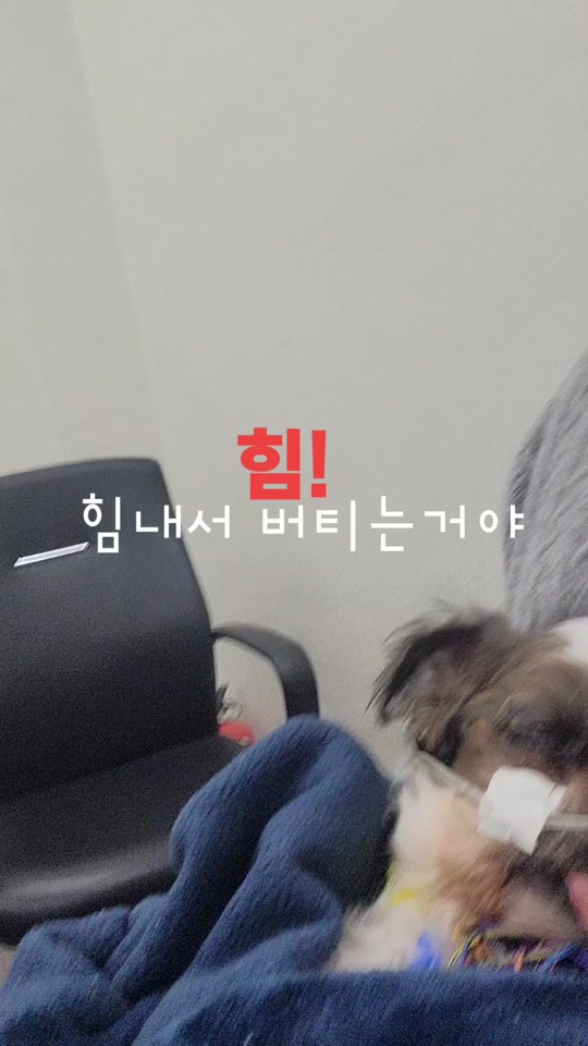 @할미니티