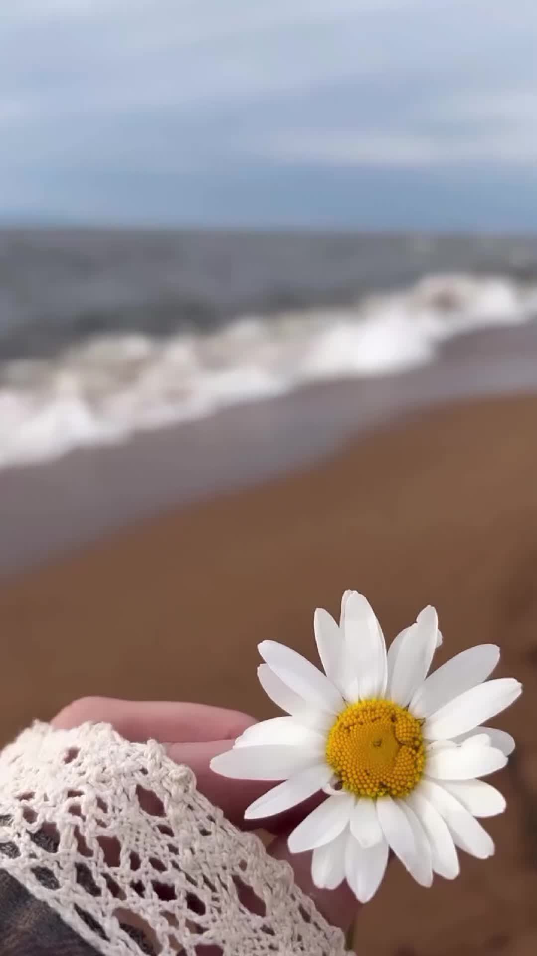 @𝗔𝗺𝗺𝗮𝙡_𝙚𝙙𝙞𝙩𝙯🦢