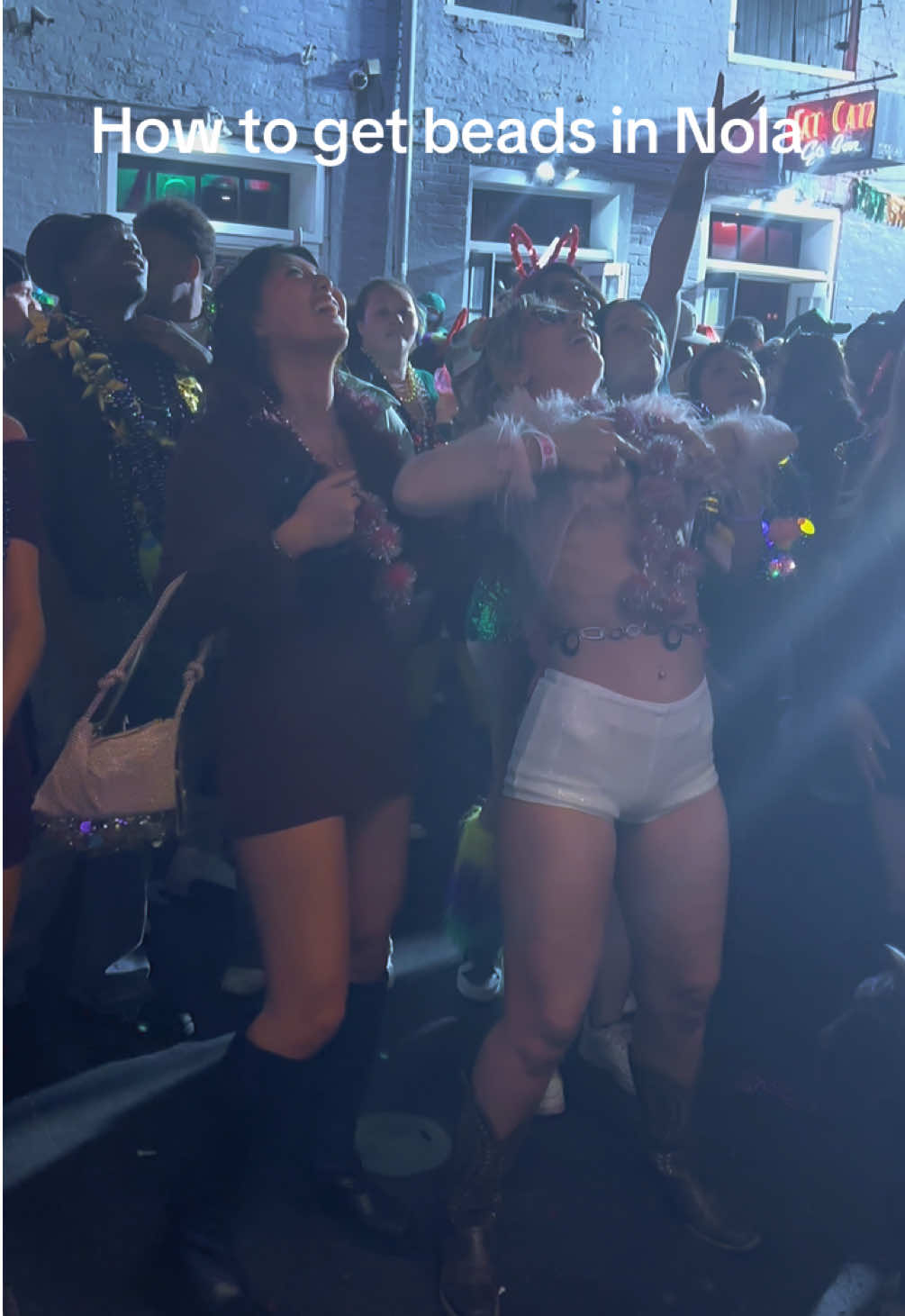 @mardigraswild
