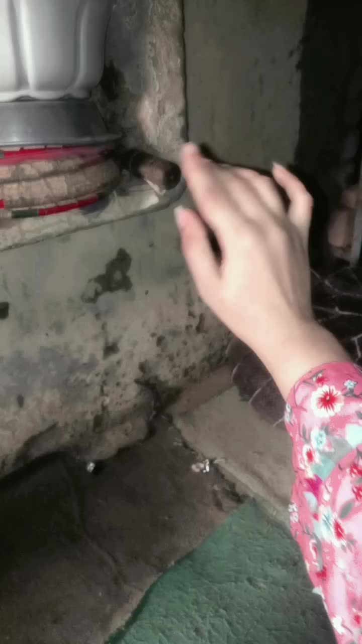 @꧁᭄ꗟ𝓱𝓪𝒽𝒛𝐚𝑑i⌁𝖔𝖋⌁нᥱárƚ ᭄꧂