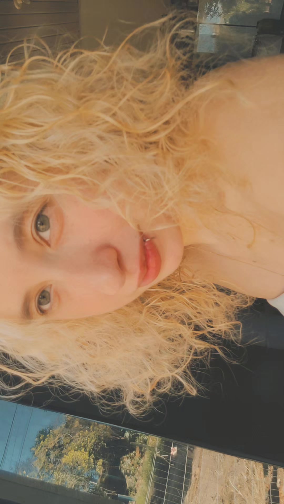 @niccass