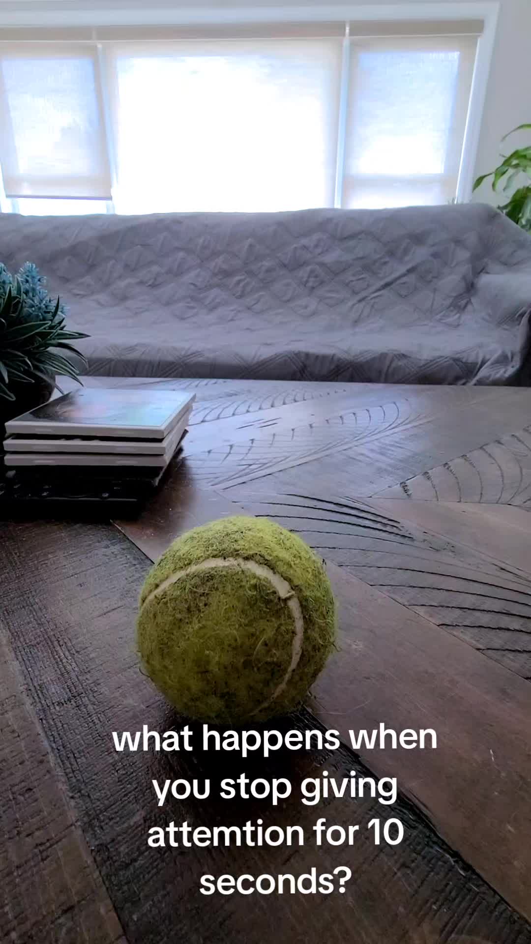 @fat_lab_productions