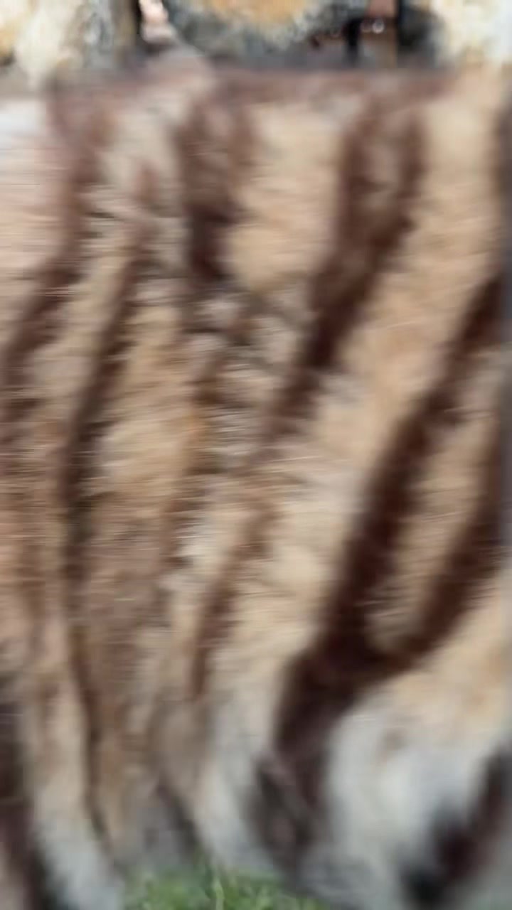 @𝑴𝑬𝑮𝑶 | مـيَقۈ