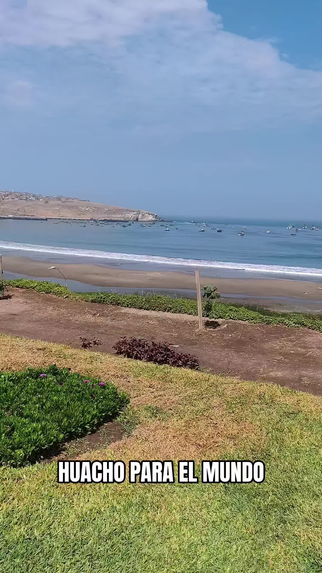 @Diego Trinidad