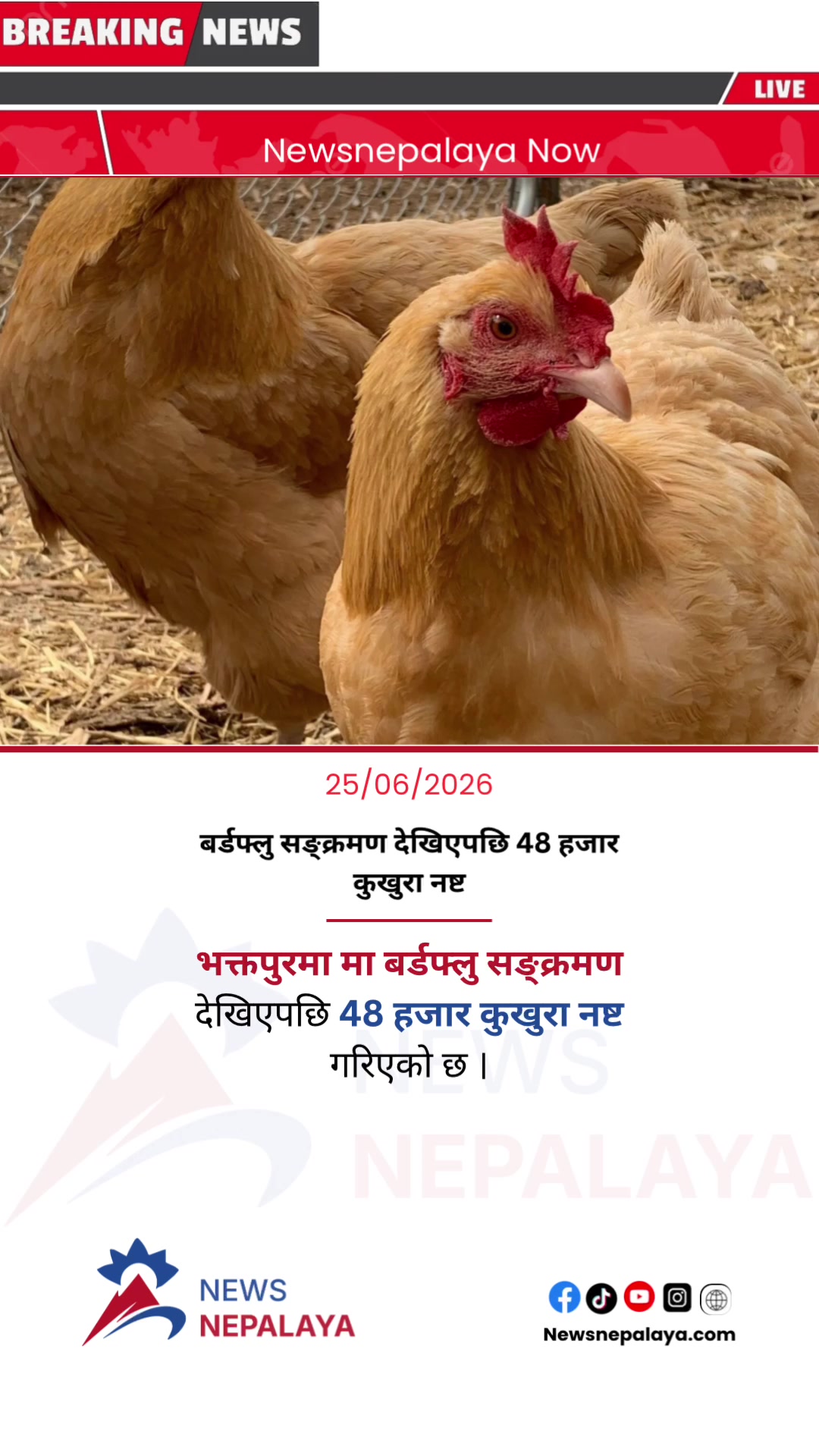 @Newsnepalaya Media Network