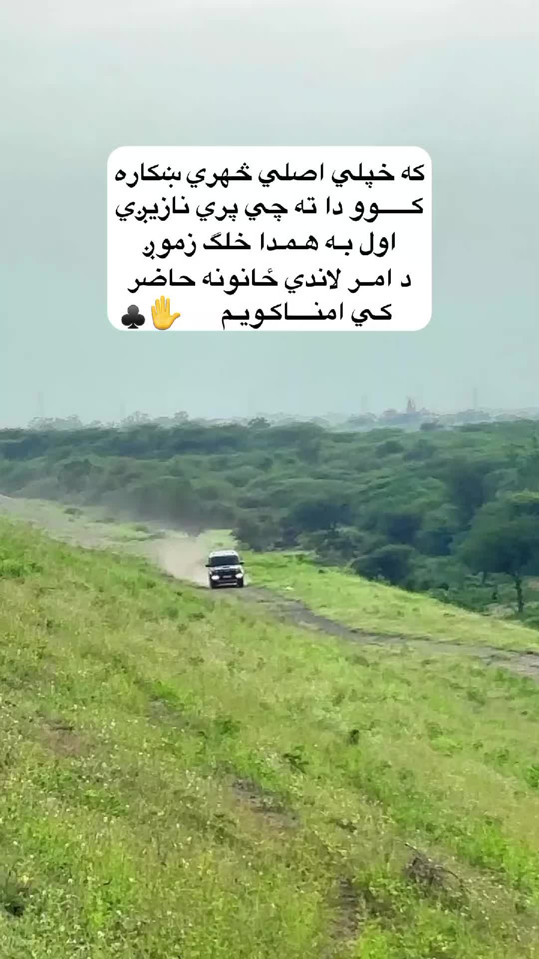 @ضــدی نـنگـرهـاری