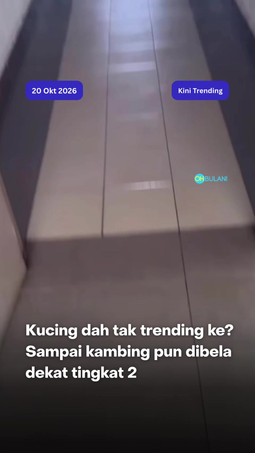 @OHBULAN!